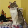 Отзыв от Алевтина Майорова